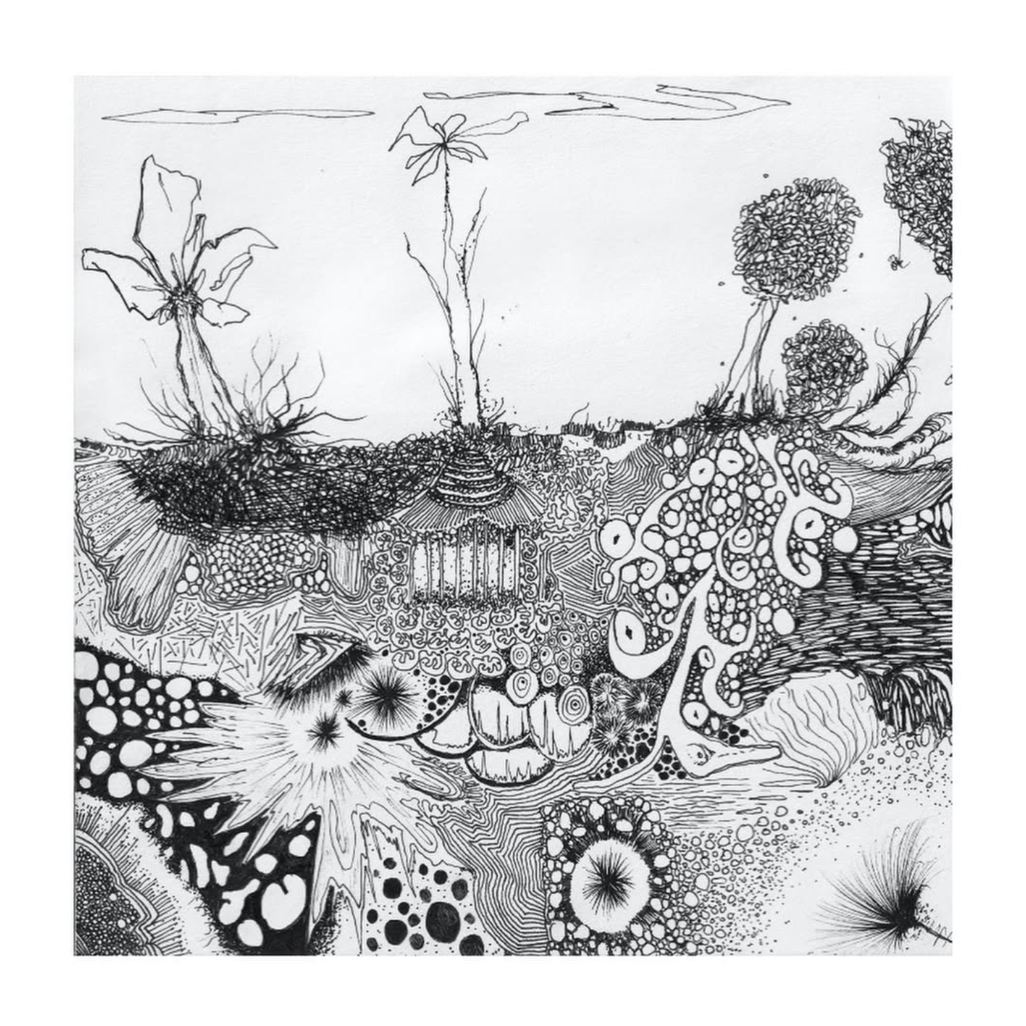 As a Seed, pen-on-paper drawing from the LIFE series by Michael Donovan